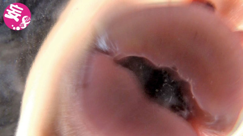 サンプル画像 11