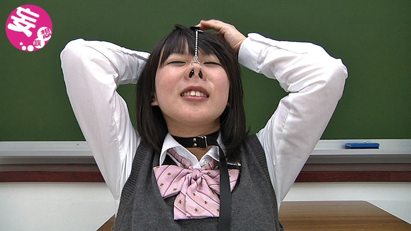 サンプル画像 5