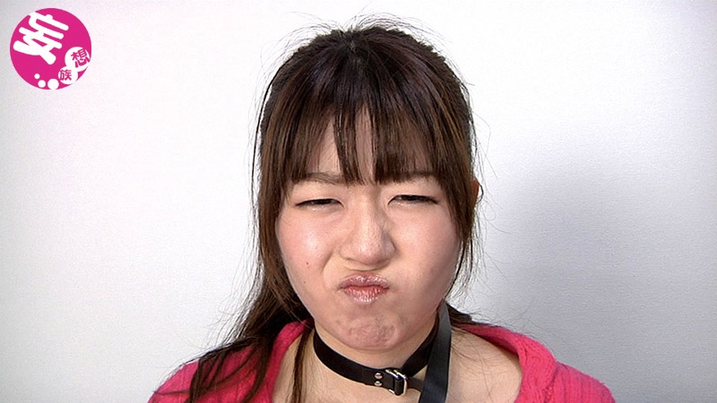 サンプル画像 6