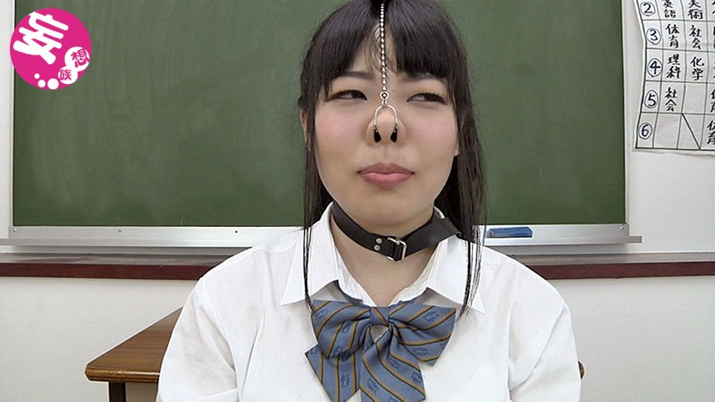 サンプル画像 9