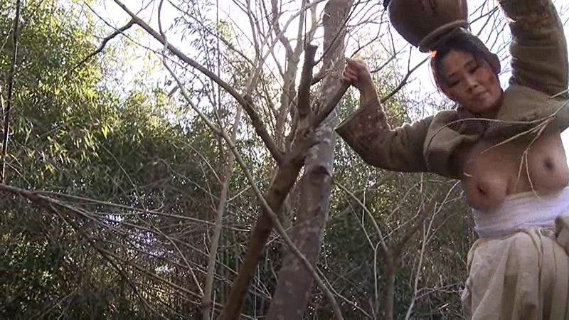 サンプル画像 3