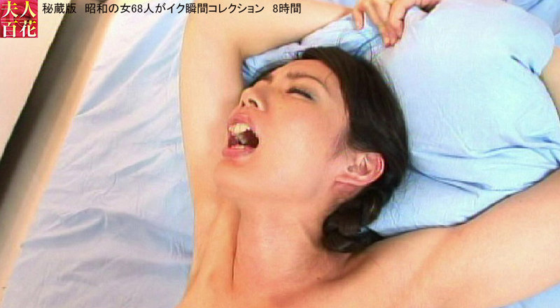 サンプル画像 8