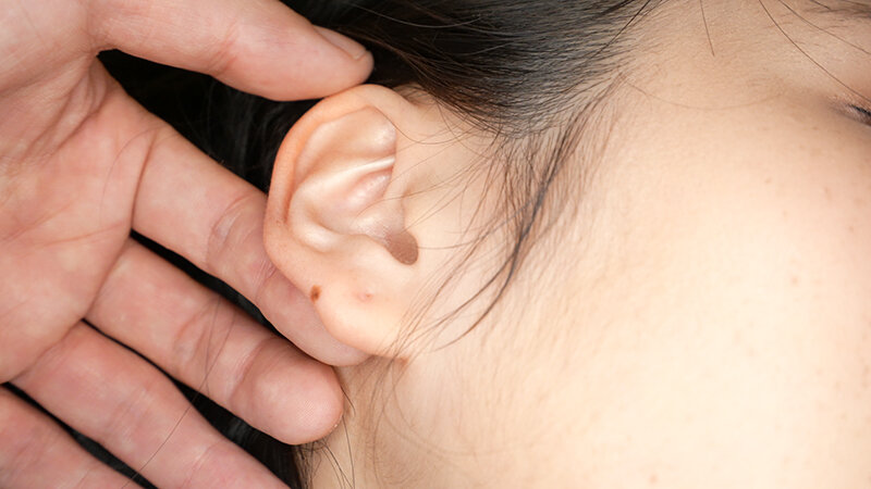 サンプル画像 8