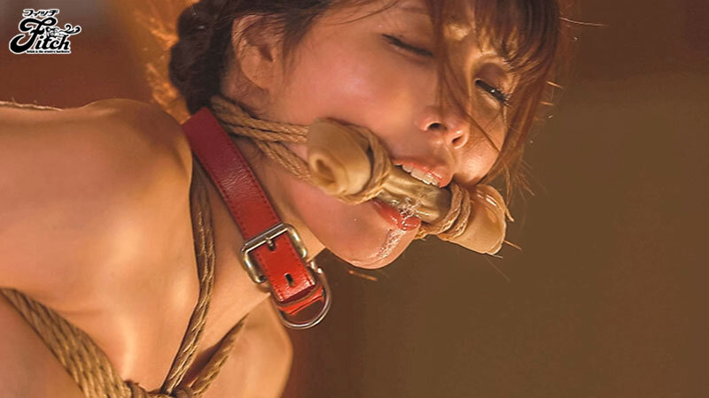 サンプル画像 11