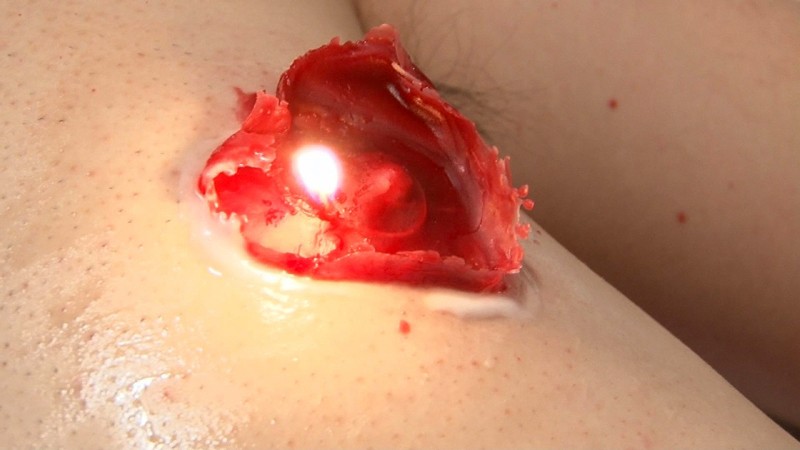 サンプル画像 11