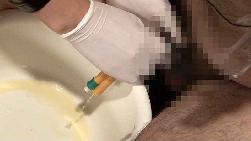 サンプル画像 13