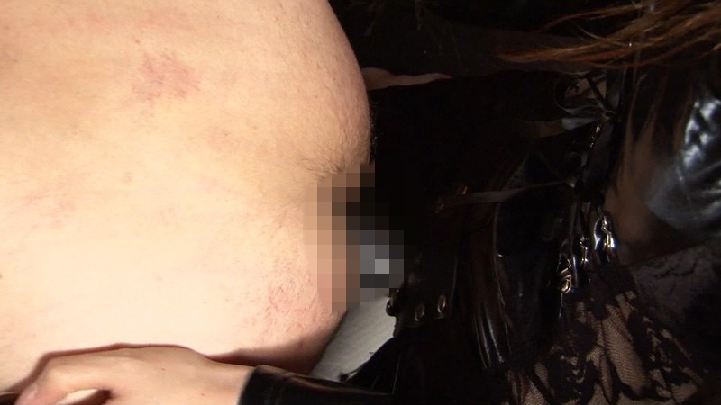 サンプル画像 14