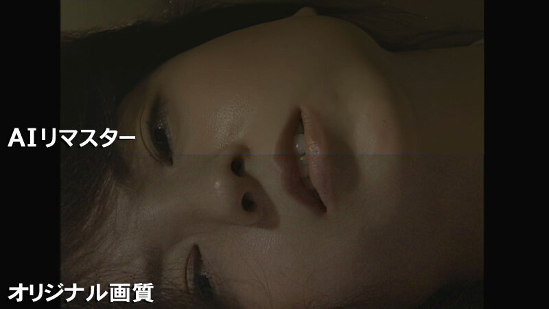 サンプル画像 15