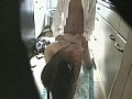 サンプル画像 13