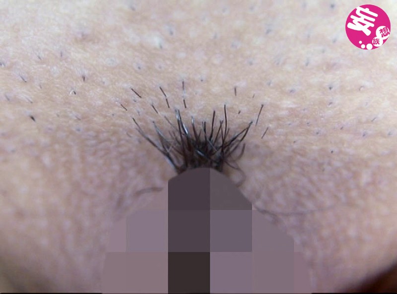 サンプル画像 9