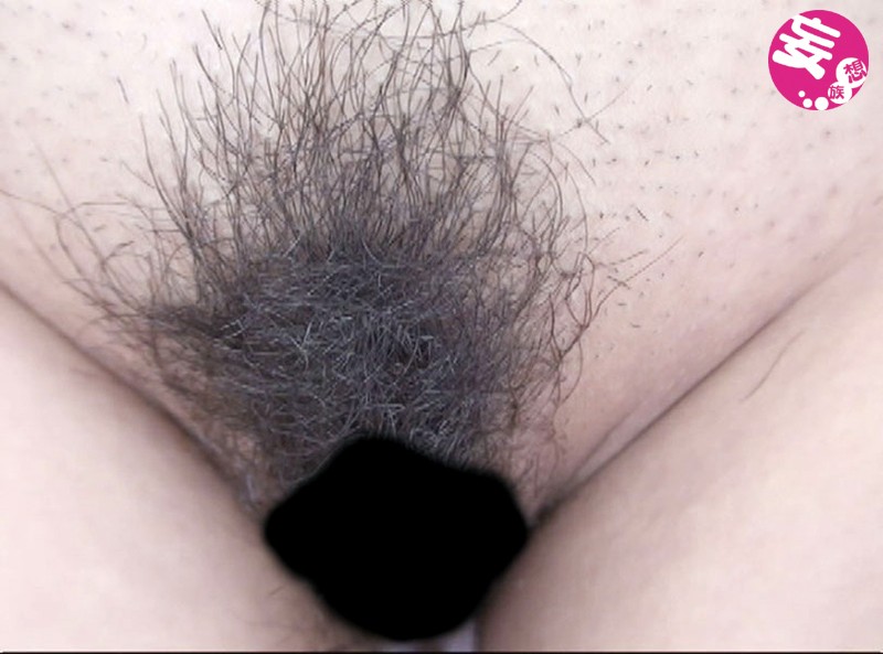 サンプル画像 11