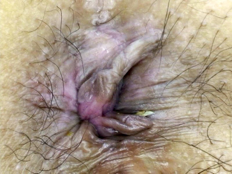 サンプル画像 12