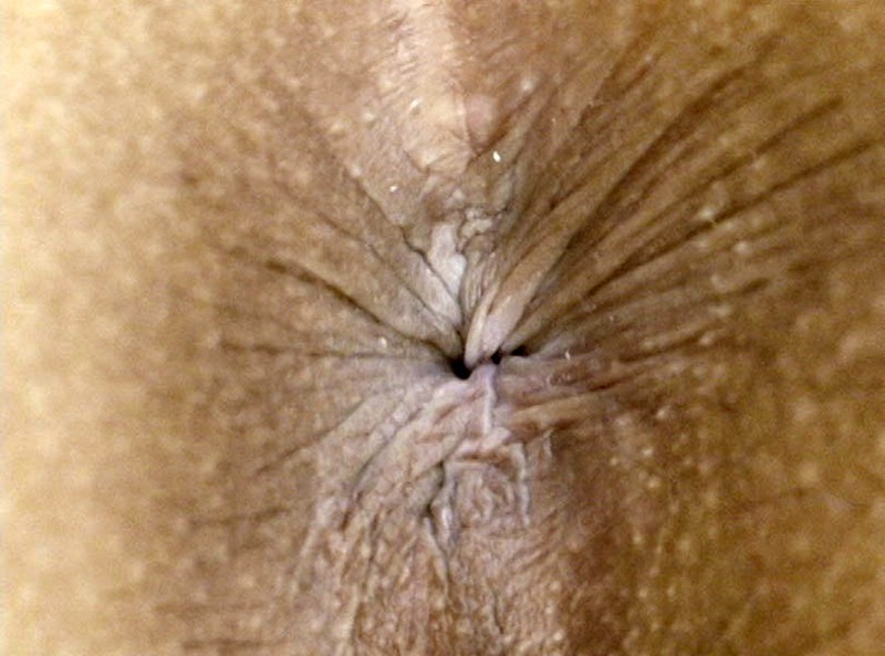 サンプル画像 17