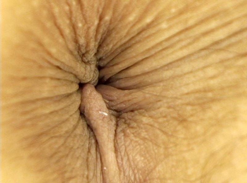 サンプル画像 18