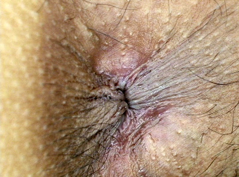 サンプル画像 19