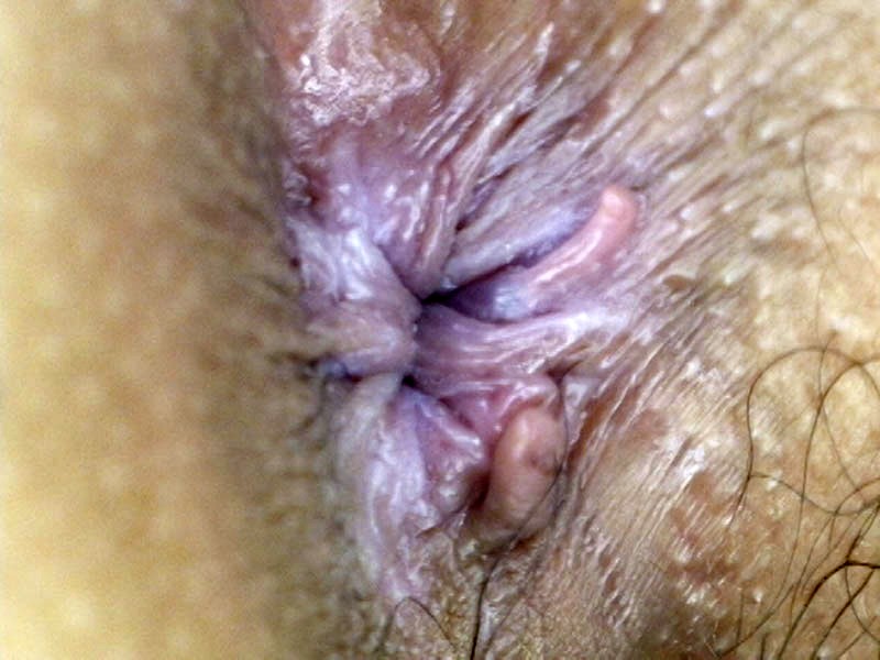 サンプル画像 9