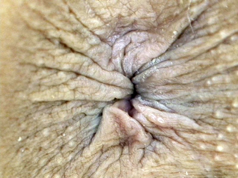 サンプル画像 10