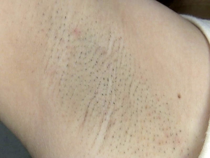 サンプル画像 11