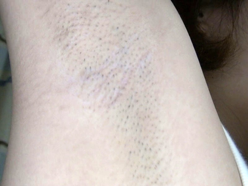 サンプル画像 12