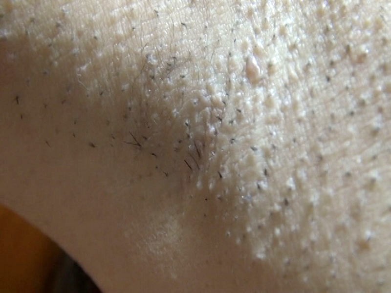 サンプル画像 14