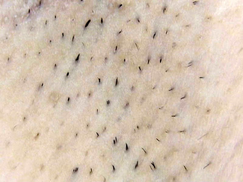 サンプル画像 15