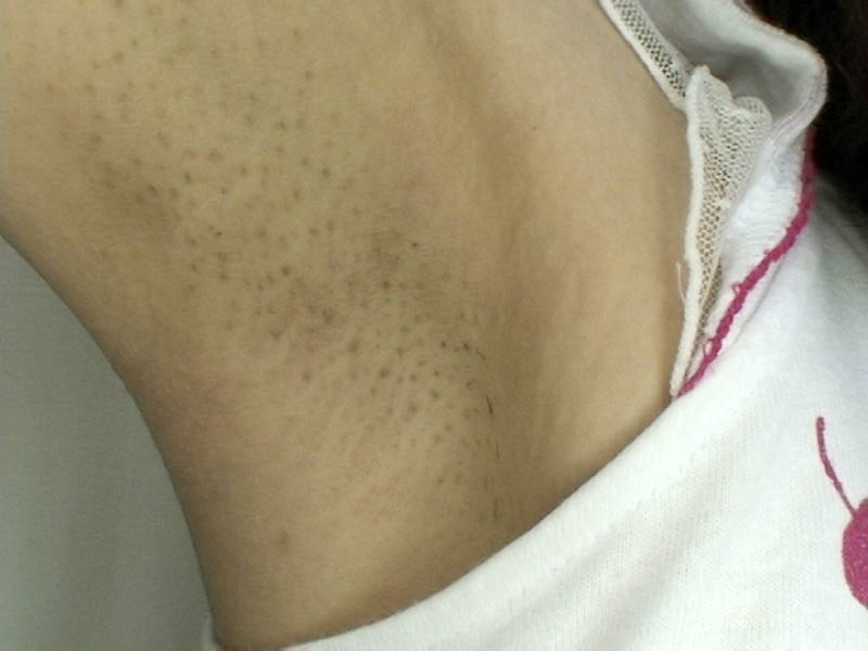 サンプル画像 16