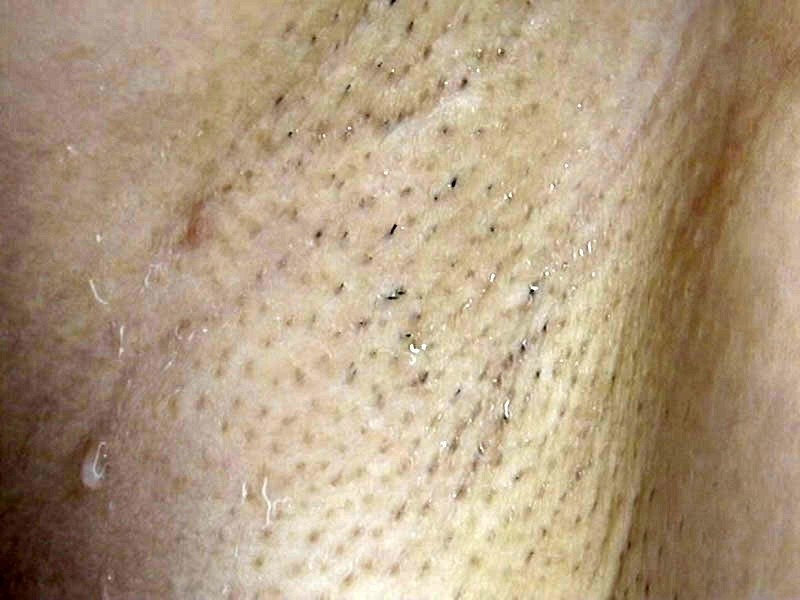 サンプル画像 17