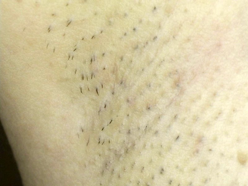 サンプル画像 20