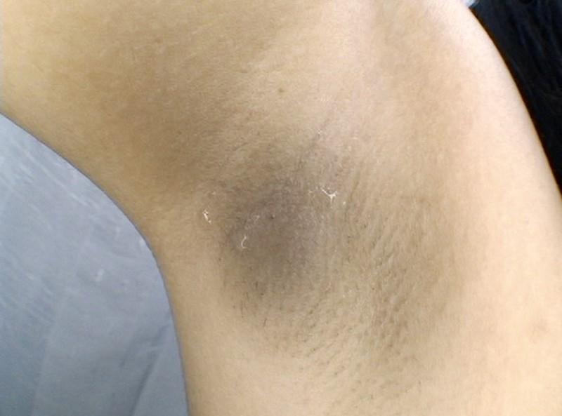 サンプル画像 4