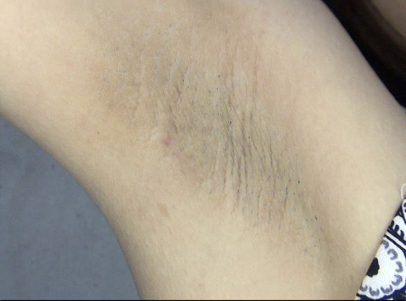 サンプル画像 5