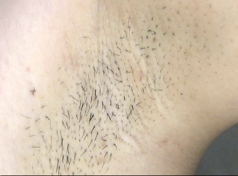 サンプル画像 6