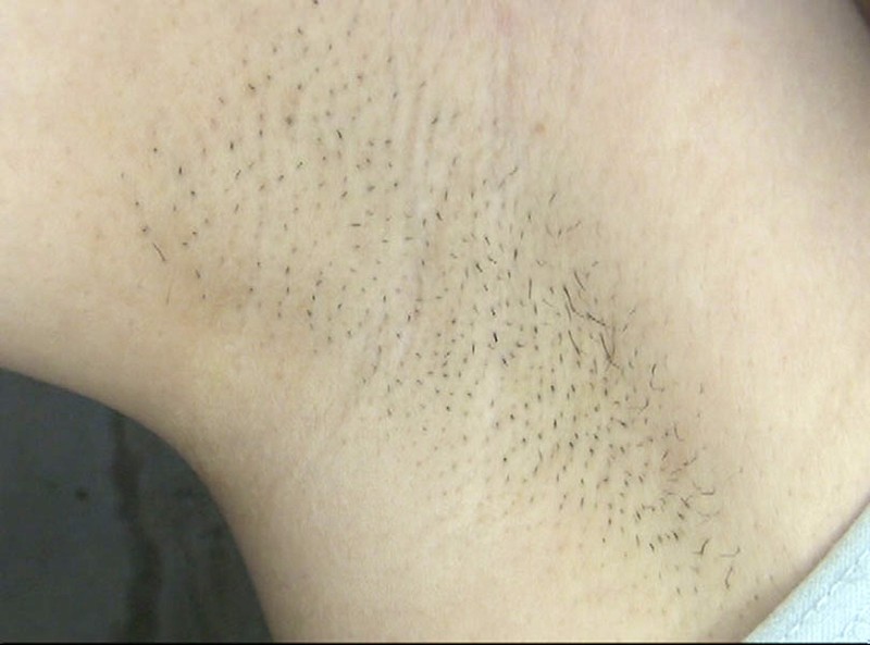 サンプル画像 7