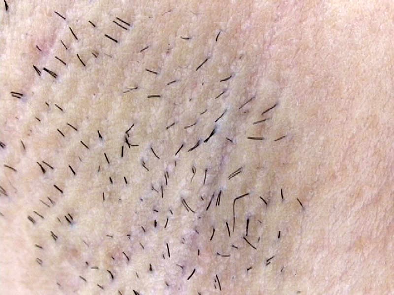 サンプル画像 8