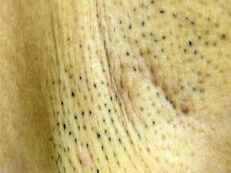 サンプル画像 10