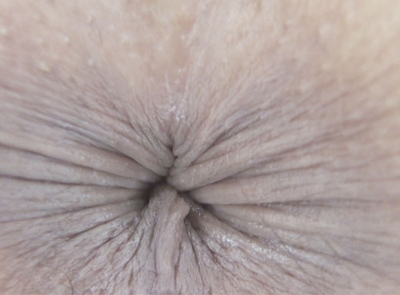 サンプル画像 12