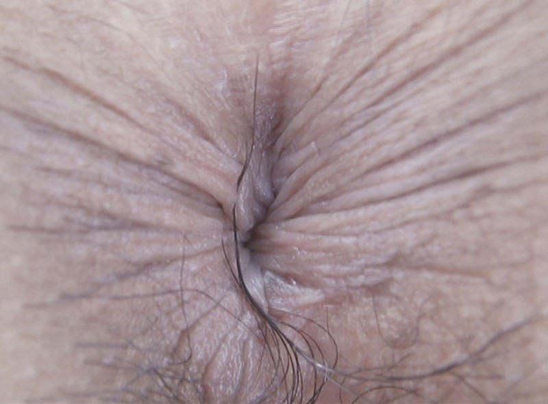 サンプル画像 13