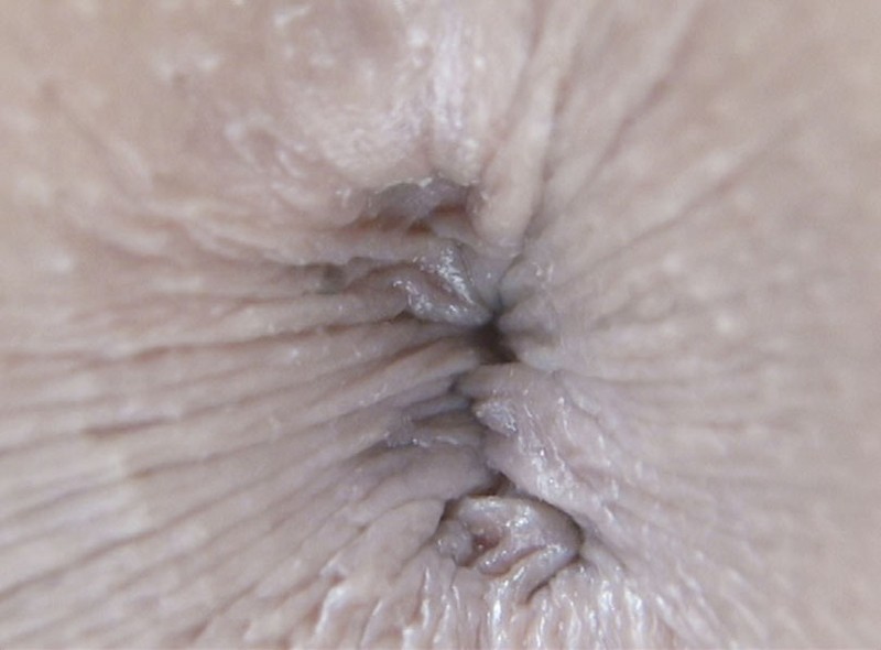 サンプル画像 17