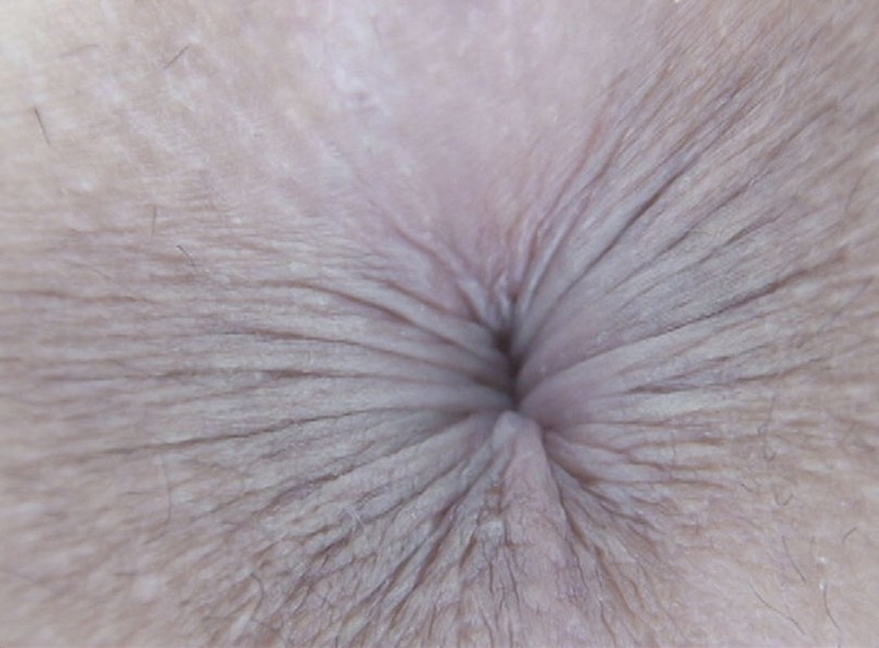 サンプル画像 20