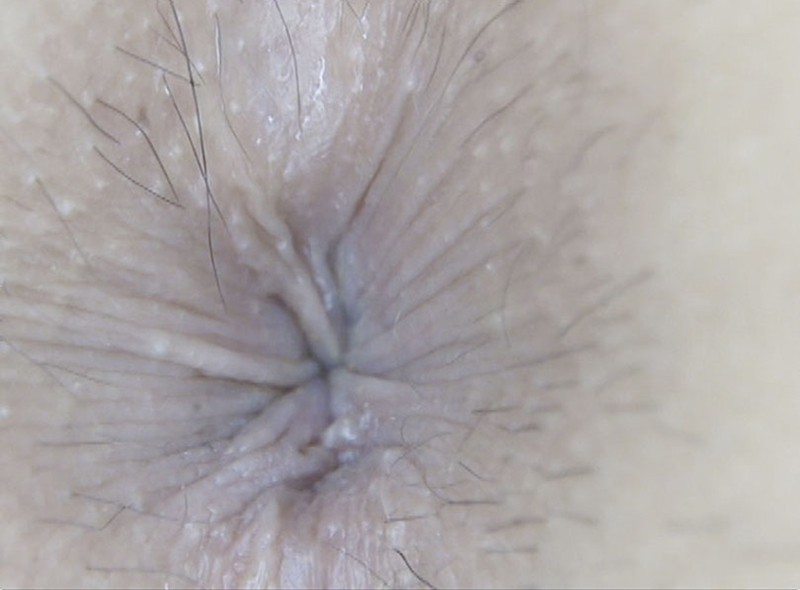 サンプル画像 7