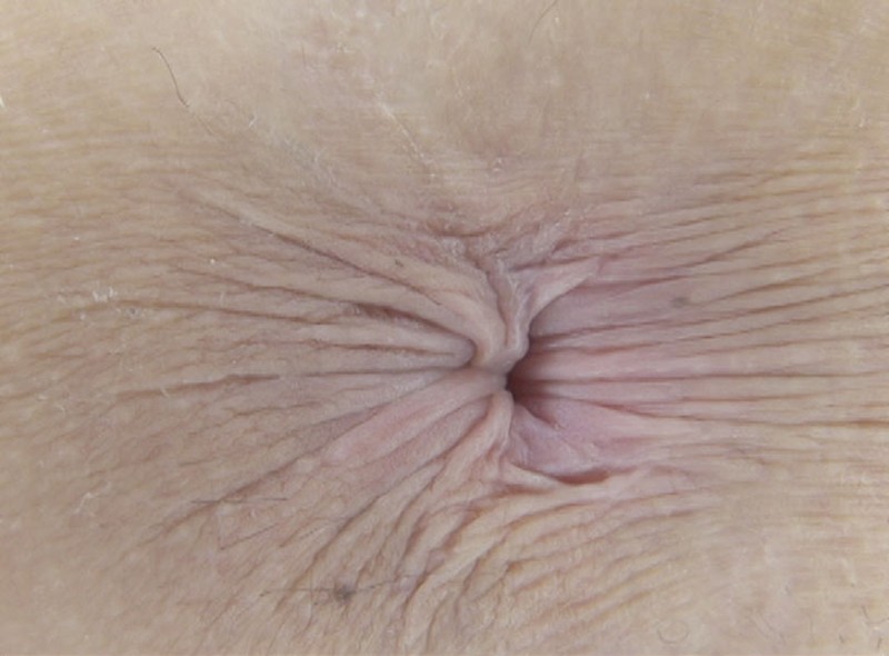 サンプル画像 9