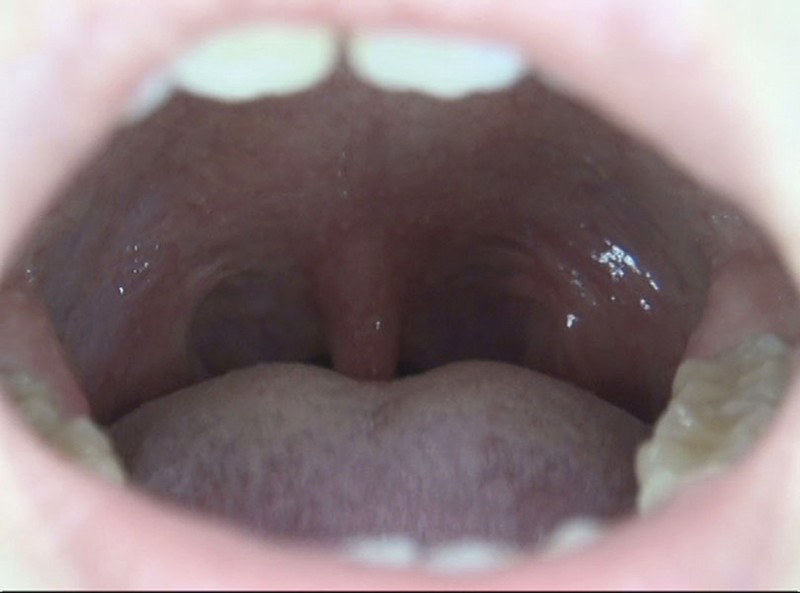 サンプル画像 2