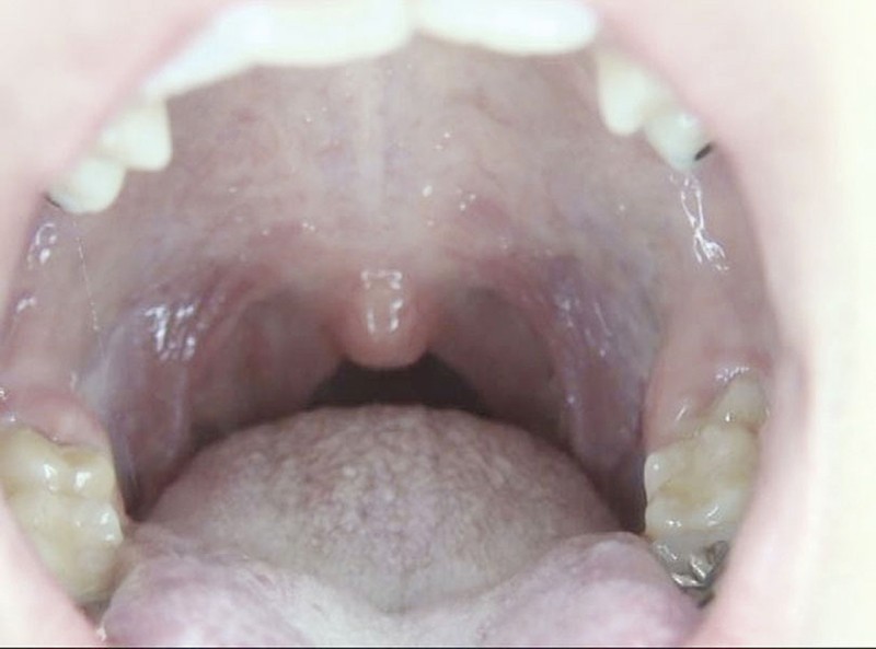 サンプル画像 3