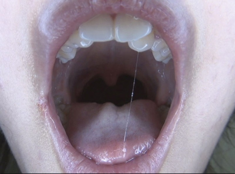 サンプル画像 4