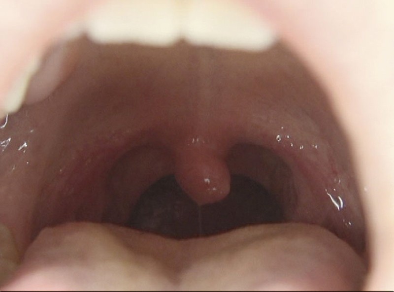 サンプル画像 5