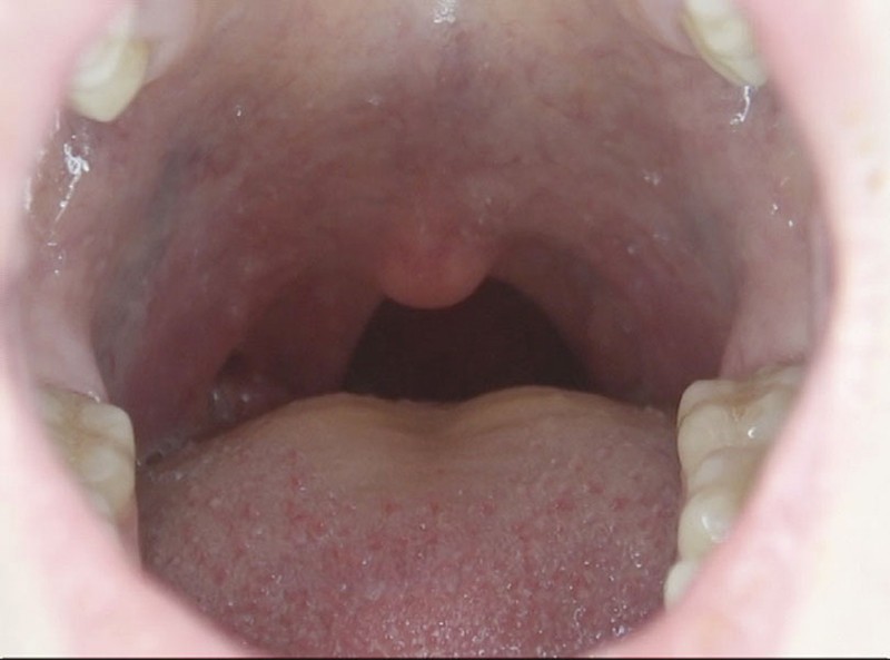 サンプル画像 8