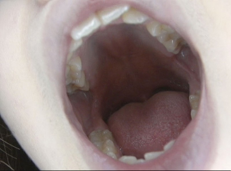 サンプル画像 9