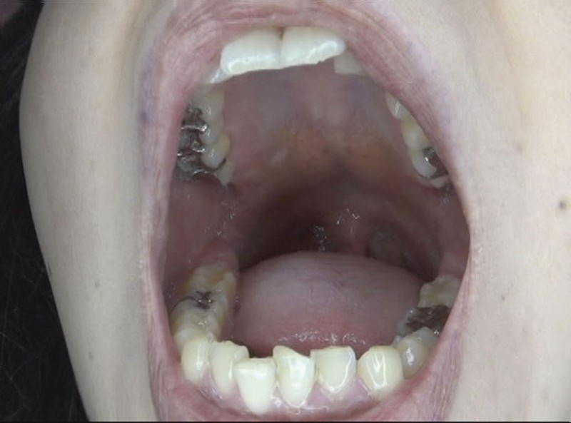 サンプル画像 10