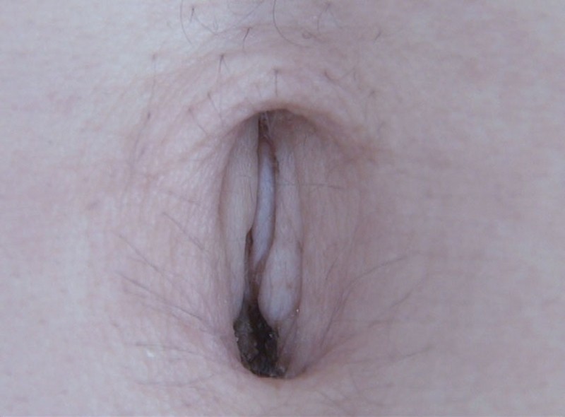 サンプル画像 18