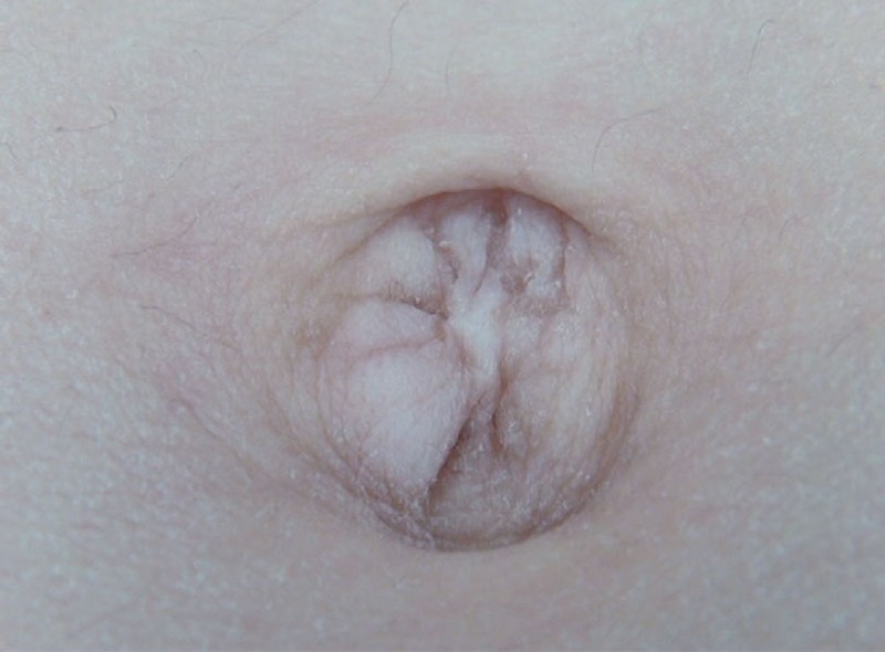 サンプル画像 6