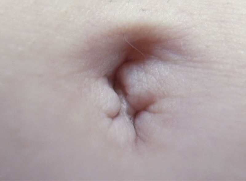 サンプル画像 7